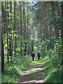 Path to Milltown of Cawdor