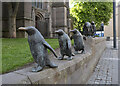 NO4030 : The Dundee Penguins by Rossographer