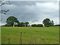 Field west of Hook House Lane