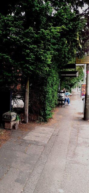 Bus shelter on SW side of London Road outside #321