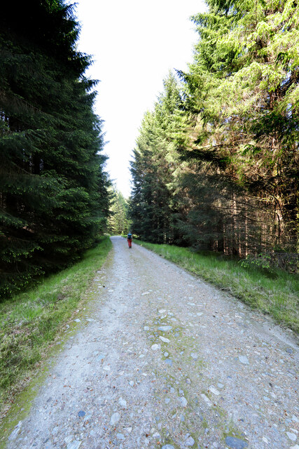 Forest track from Cononish Glen to Tyndrum Lower station