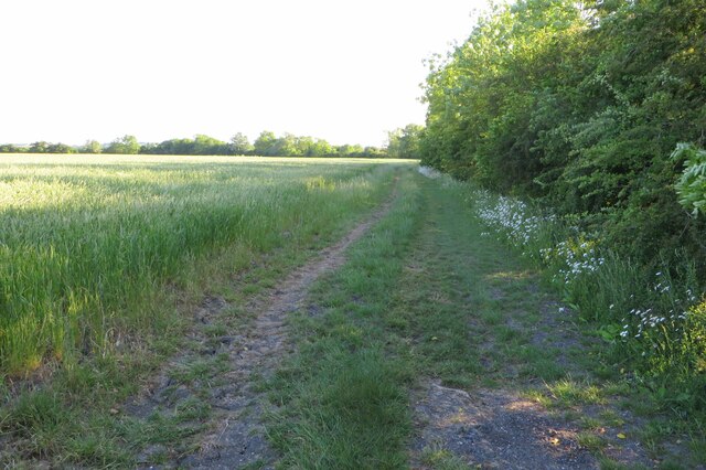 Field by Haslingfield Road