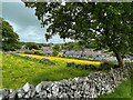 Looking over Tideswell