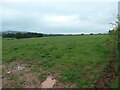 Corvedale farmland, south-west of Lodge Cottages