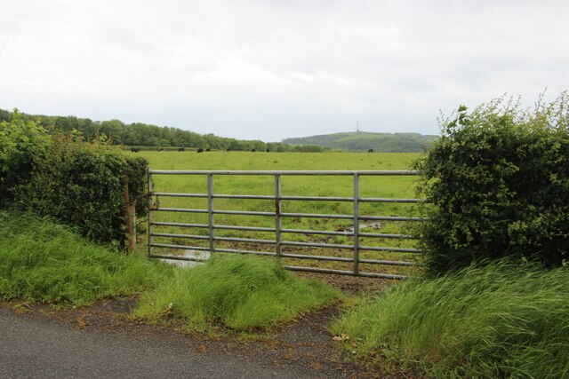 Field entrance at Knockendale