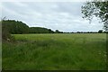 Fields near Black Dyke