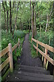 Boardwalk through marshy edges of The Tarn