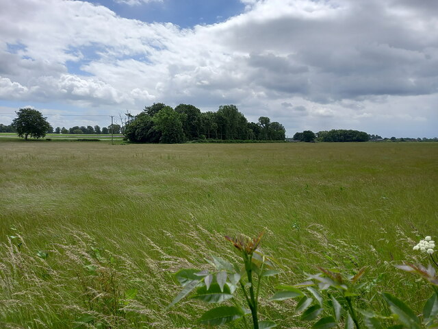 Field north of Evelith Manor Farm