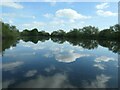 SK5234 : Clouds mirrored in the River Trent by Christine Johnstone