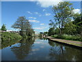 Beeston Canal, between bridges 16 and 15