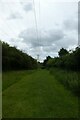 Path under the electric cables