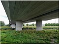 Under the Rhuddlan Bypass