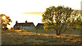 Cottage and Moorland Meadow at Sunset, East Langwell, Sutherland