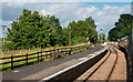 TQ8326 : Platform and track, Northiam Station by Roger Jones