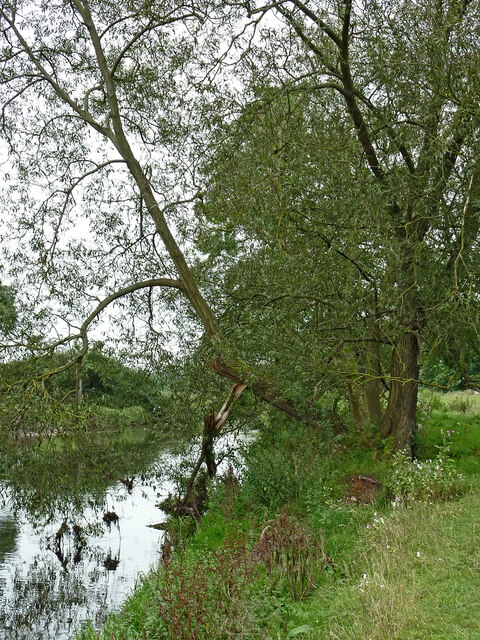 The bank of the River Trent near Little Haywood in Staffordshire