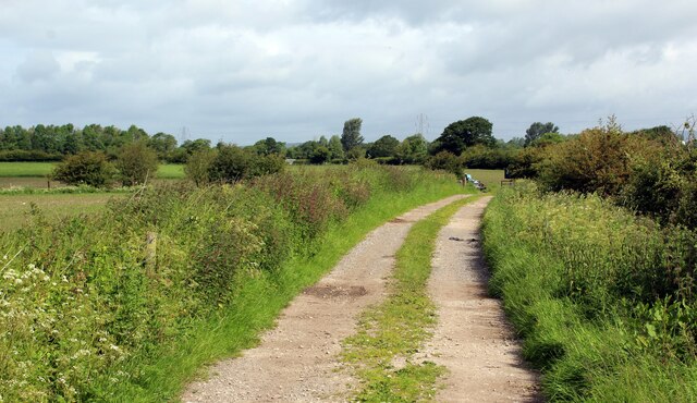 Track leading away from Daniel's Farm