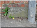 Old Boundary Marker on Aggs Hill, Charlton Kings