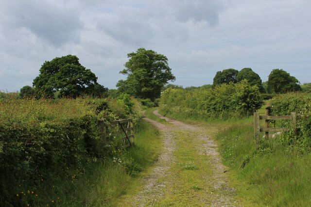 Farm Track leading towards Elston Lane