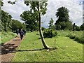 Path, Moira Demesne