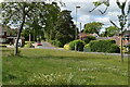 Wide verge beside Woodley Lane