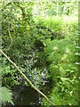 Westwick Beck looking Southwest