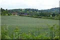 View to Gold Hill Farm