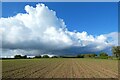 Farmland, Gerrans