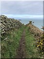 SM8633 : Pembrokeshire Coast Path between Pwllstrodur and Abercastle by Eirian Evans