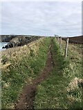 SM8333 : Pembrokeshire Coast Path above Pwll Olfa by Eirian Evans