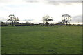 Farmland, Crewe