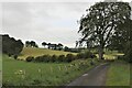 NS4827 : Rolling Ayrshire farmland by Alan Reid