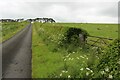 Trimmed hedges at Oxenshaw