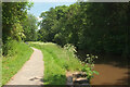 Monmouthshire and Brecon Canal near Pencelli