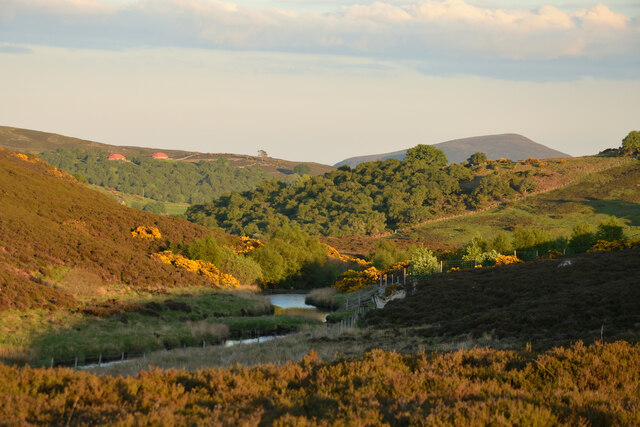 The Valley of the Garbh-allt Watercourse, Sutherland