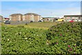 Barassie seafront housing