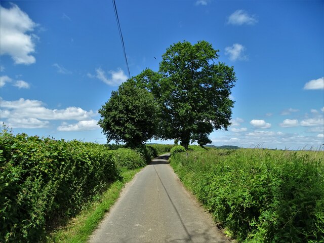 Unnamed lane near Wardour, Wiltshire