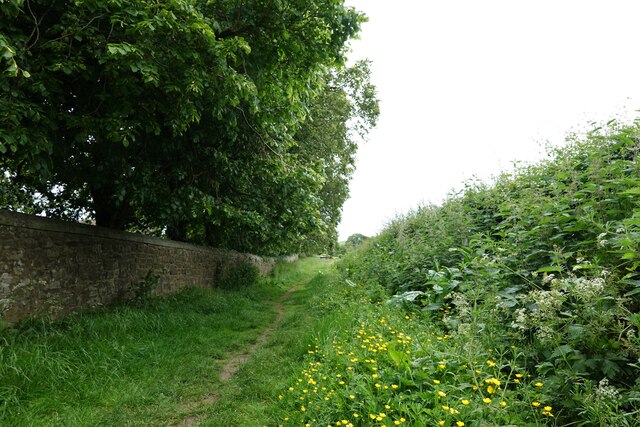 Footpath in Ribchester