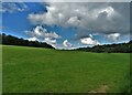 Countryside west of Greenwich, Wiltshire