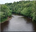 River Clyde downstream from footbridge