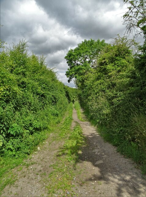 Westbury Leigh, Wiltshire - area information, map, walks and more