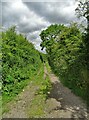 Sand Hole Lane south of Westbury