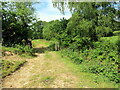 Llwybr ger Cwm Isaf / Path near Cwm Isaf