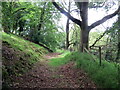 Llwybr Cwmcoygen / Cwmcoygen path