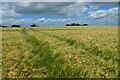 Farmland, Farringdon