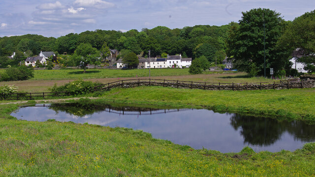 Pond at Old Hall Farm