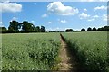 Farmland, Selborne