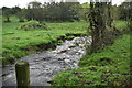 Stream, Killyfole Lough