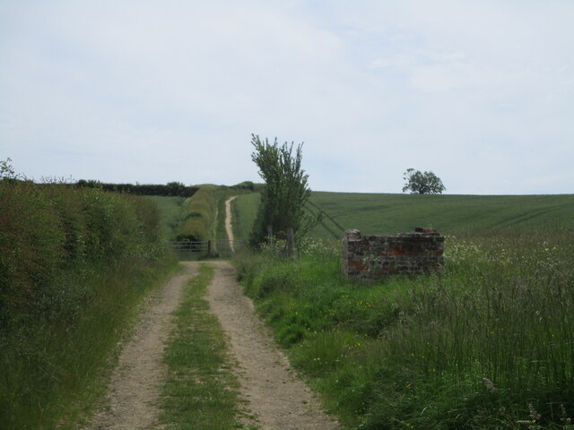 Field on Walkers Lane