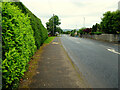 Derry Road, Omagh