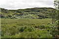 Marshy moorland